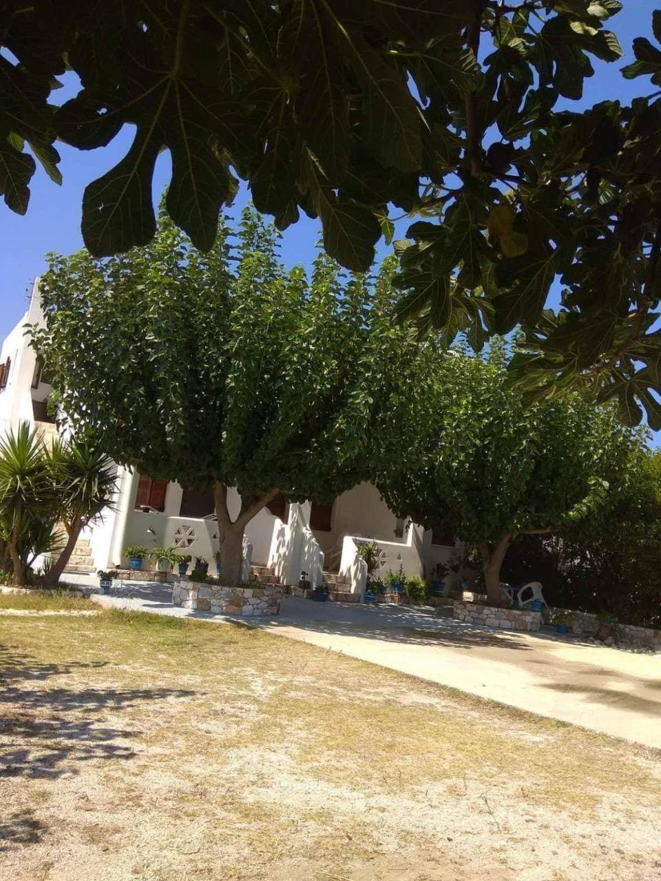 Athena'S Houses Skyros Exterior foto